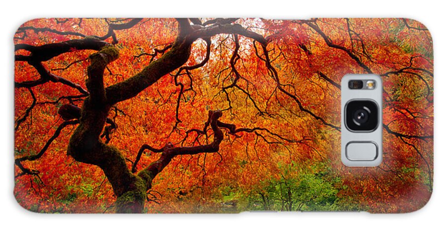 Autumn Galaxy Case featuring the photograph Tree Fire by Darren White