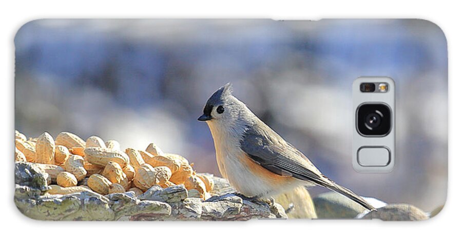 Tufted Titmouse Galaxy Case featuring the photograph Tufted Titmouse #1 by PJQandFriends Photography