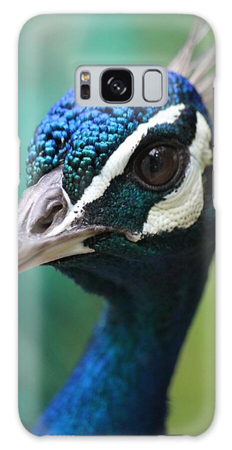 Peacock Galaxy Case featuring the photograph Up Close And Personal by Amy Gallagher