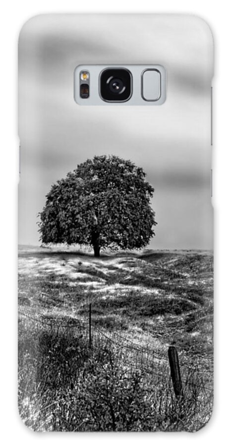 Tree Galaxy Case featuring the photograph Valley Oak Majesty by Abram House