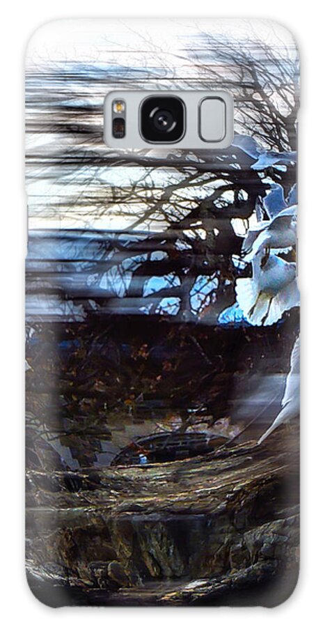 Seagulls Galaxy Case featuring the photograph Wind Swept #1 by Glenn Feron