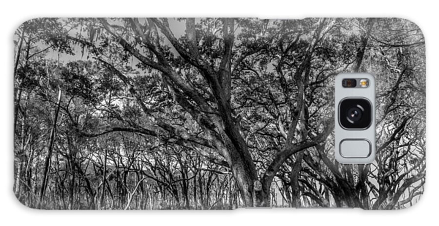 Trees Galaxy Case featuring the photograph Wind Swept Trees #1 by Christopher Perez