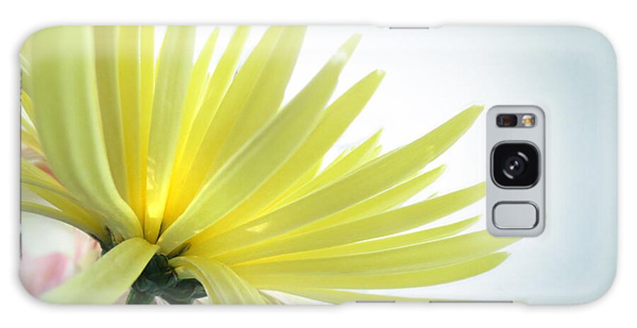 Flower Galaxy Case featuring the photograph Yellow Petals #1 by Deborah Smith