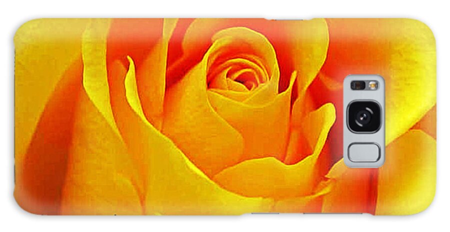 Rose Galaxy Case featuring the photograph Yellow Rose #1 by Bill Barber
