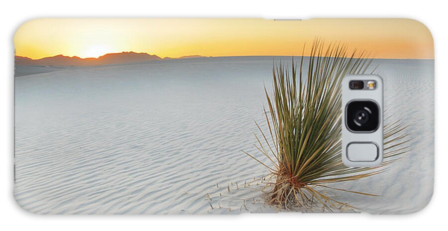 White Sands Galaxy Case featuring the photograph Yucca Plant at White Sands #1 by Alan Vance Ley