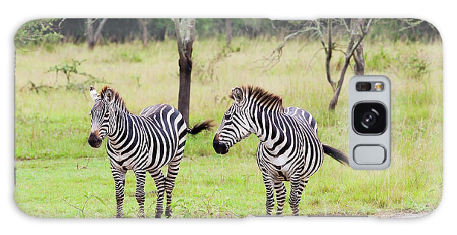 Scenics Galaxy Case featuring the photograph Zebra At Lake Mburo National Park #1 by 1001slide