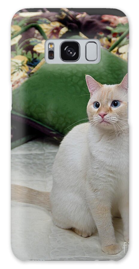 Blue Eyes Galaxy Case featuring the photograph Flame Point Siamese Cat #11 by Amy Cicconi