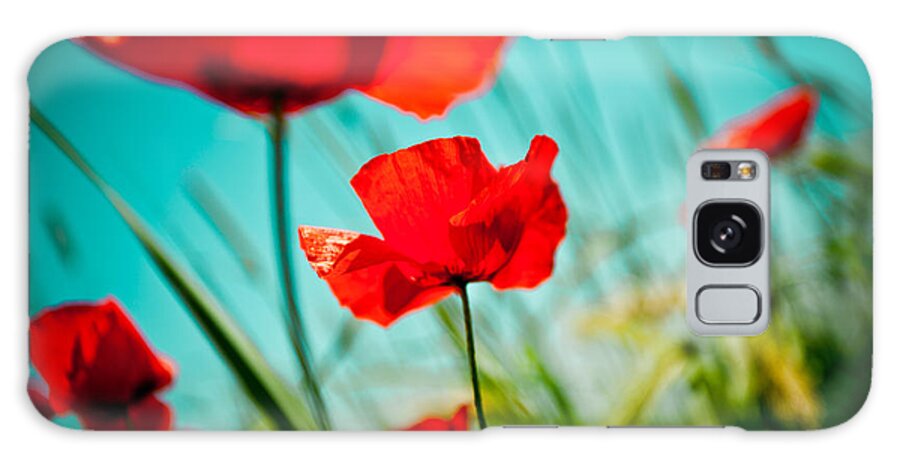 Field Galaxy Case featuring the photograph Poppy field and sky #11 by Raimond Klavins