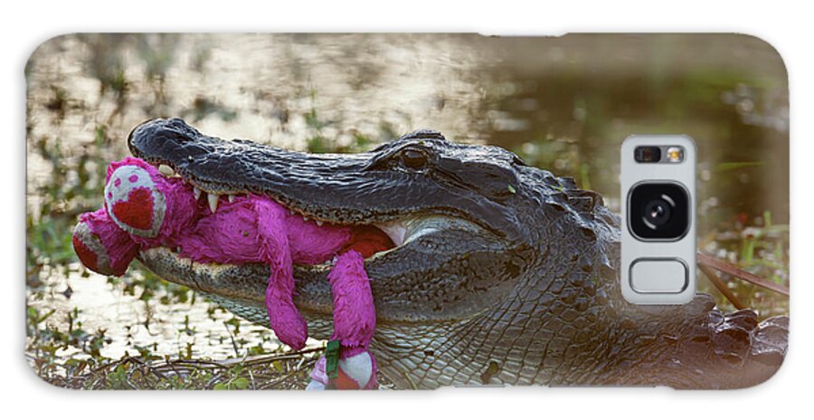 Alligator Galaxy Case featuring the photograph USA, Florida, Everglades National Park #11 by Jaynes Gallery