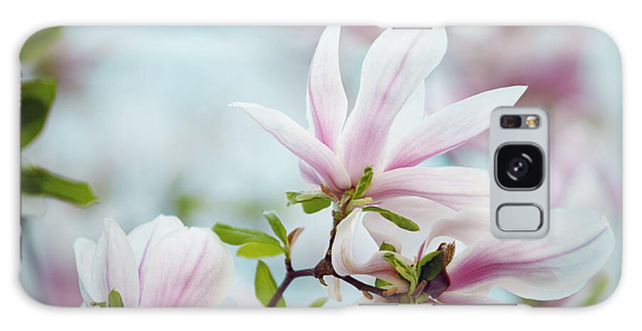 Magnolia Galaxy Case featuring the photograph Magnolia Flowers by Nailia Schwarz