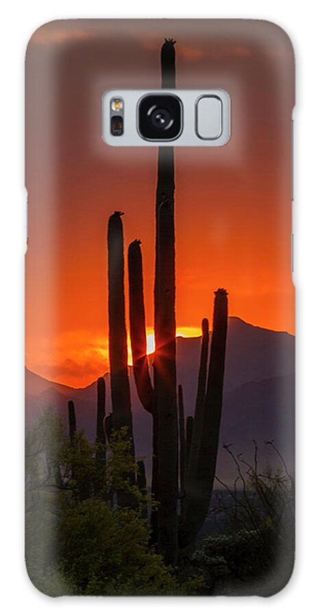 Arizona Galaxy Case featuring the photograph USA, Arizona, Saguaro National Park #15 by Jaynes Gallery