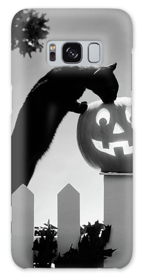 Photography Galaxy Case featuring the photograph 1970s Black Cat And Jack-o-lantern by Vintage Images