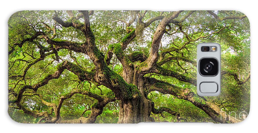 Angel Oak Tree Galaxy Case featuring the photograph Angel Oak Tree of Life by Dustin K Ryan