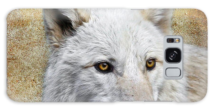 Wolf Art Galaxy Case featuring the photograph Arctic White Wolf #1 by Steve McKinzie