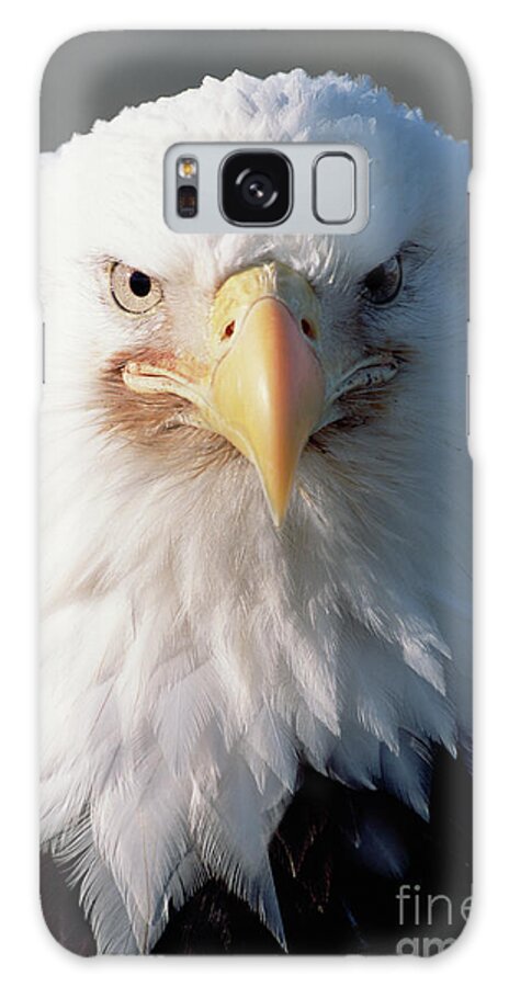 00343910 Galaxy Case featuring the photograph Bald Eagle Portrait Alaska by Yva Momatiuk John Eastcott