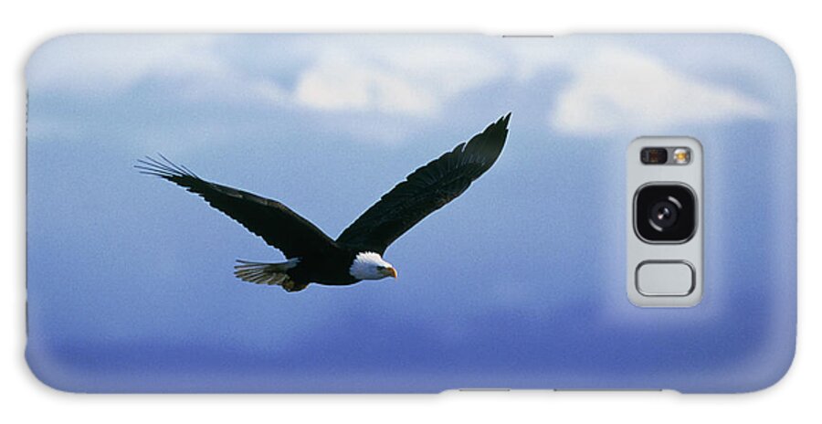Eagle Galaxy Case featuring the photograph Bald Eagle by William Ervin/science Photo Library