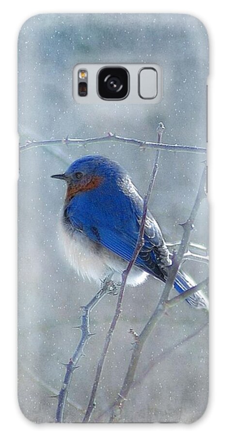 Birds Galaxy Case featuring the photograph Blue Bird by Fran J Scott