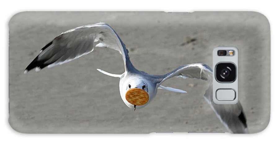 Seagulls Galaxy Case featuring the photograph Cracker Snatcher by Geoff Crego