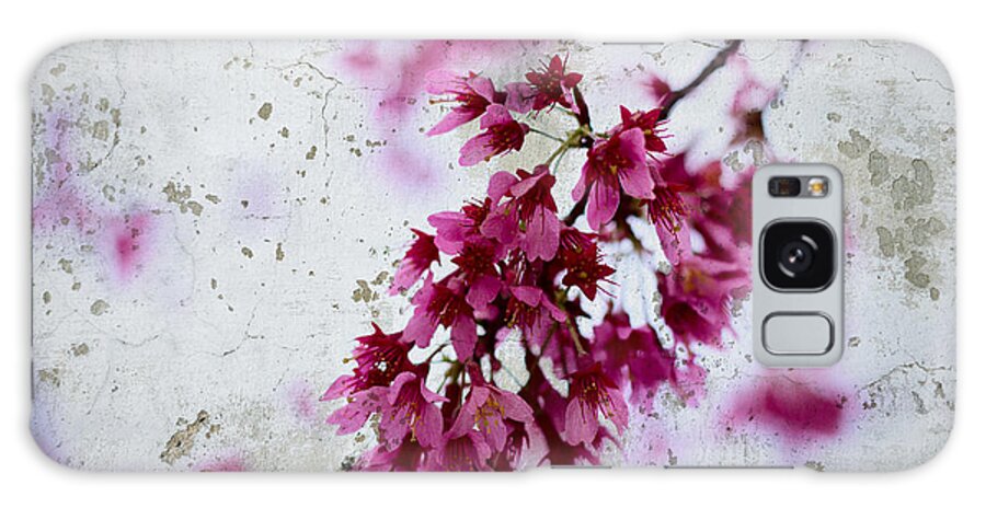 Deep Pink Galaxy Case featuring the photograph Deep Pink Flowers with Grey Concrete Texture Background #2 by Beverly Claire Kaiya