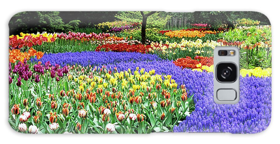 Garden Galaxy Case featuring the photograph Flowers At A Garden #2 by Adrian Thomas/science Photo Library