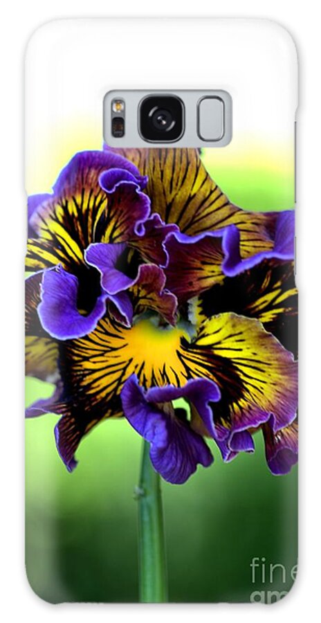 Flora Galaxy Case featuring the photograph Frilly Pansy by Joy Watson