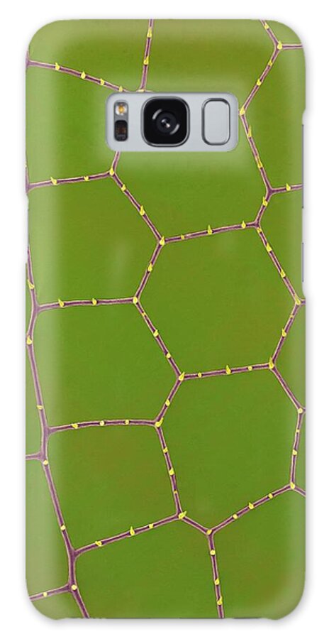 98228d Galaxy Case featuring the photograph Green Darner Dragonfly Wing #2 by Dennis Kunkel Microscopy/science Photo Library