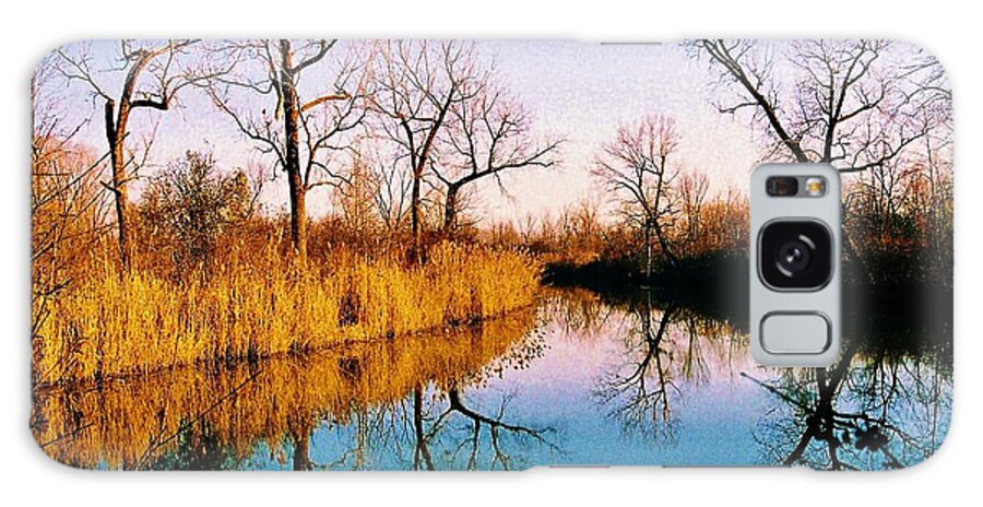 Water Galaxy Case featuring the photograph November by Daniel Thompson