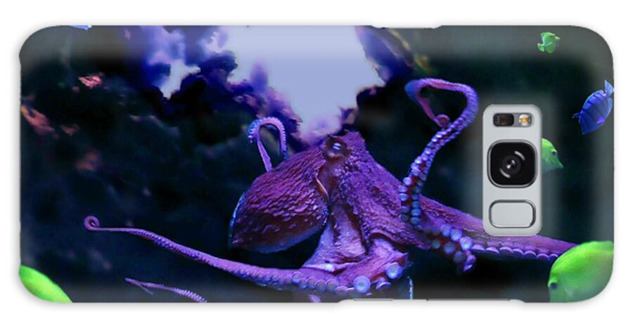 Ocean Art Galaxy S8 Case featuring the mixed media Octopus #2 by Steed Edwards