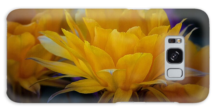 Orange Flower Galaxy S8 Case featuring the photograph Orange Cactus Flowers #2 by Saija Lehtonen