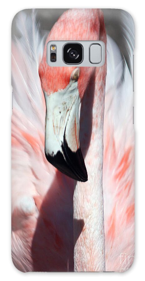 Flamingo Galaxy Case featuring the photograph Pretty Flamingo #2 by Sheryl Unwin