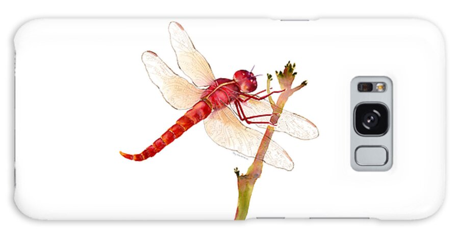 Red Galaxy Case featuring the painting Red Dragonfly by Amy Kirkpatrick