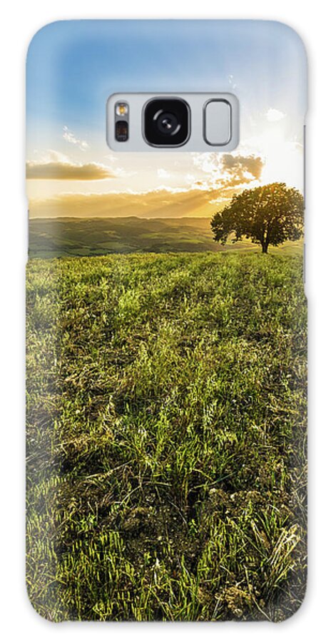 Scenics Galaxy Case featuring the photograph Single Tree On The Tuscan Hills #2 by Deimagine
