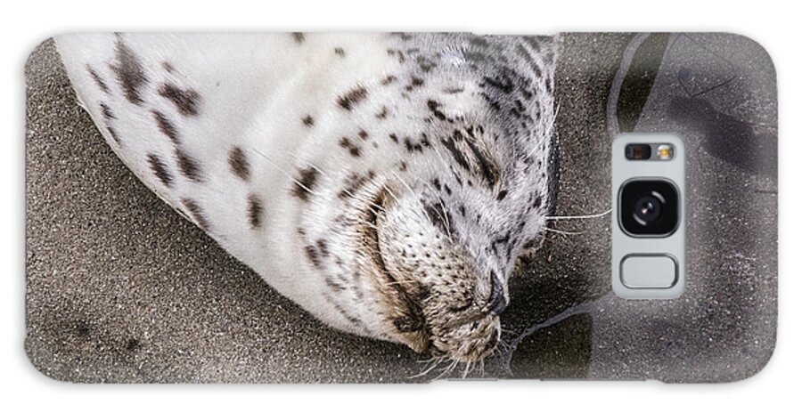 Harbor Seal Galaxy S8 Case featuring the digital art Smile #2 by Photographic Art by Russel Ray Photos
