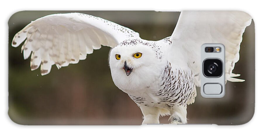 Snowy Galaxy Case featuring the photograph Snowy Owl #2 by Les Palenik