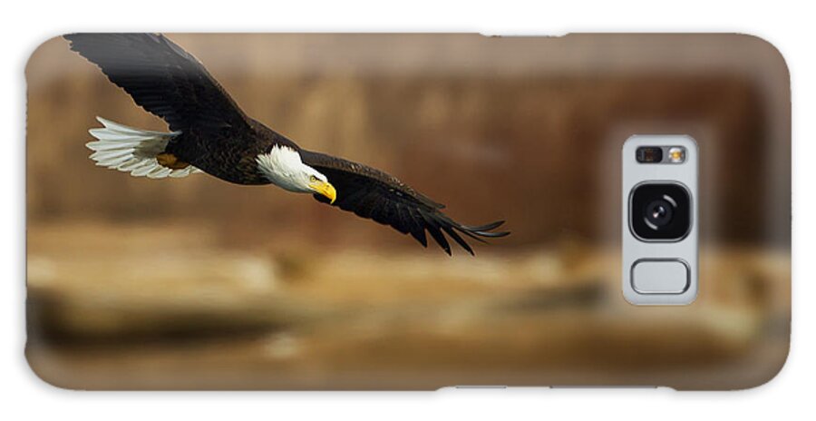 Bald Galaxy Case featuring the photograph Soaring Bald Eagle #1 by Al Mueller