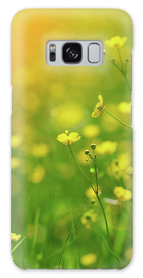Tranquility Galaxy Case featuring the photograph Spring Flowers #2 by Rolfo Rolf Brenner
