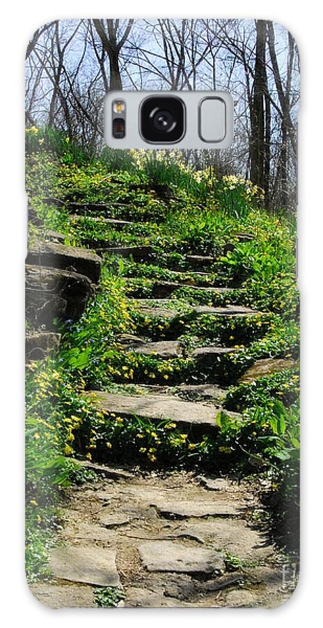 Landscapes Galaxy Case featuring the photograph Spring In Your Step by Mel Steinhauer