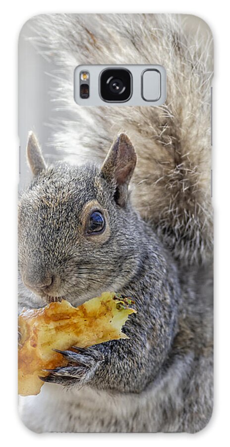 Adorable Galaxy Case featuring the photograph Squirrel #2 by Peter Lakomy