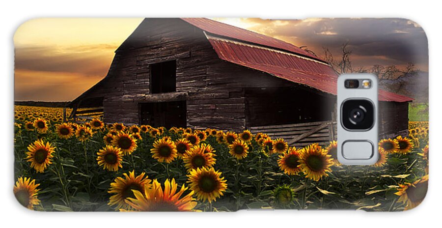 Sunflowers Galaxy Case featuring the photograph Sunflower Farm by Debra and Dave Vanderlaan