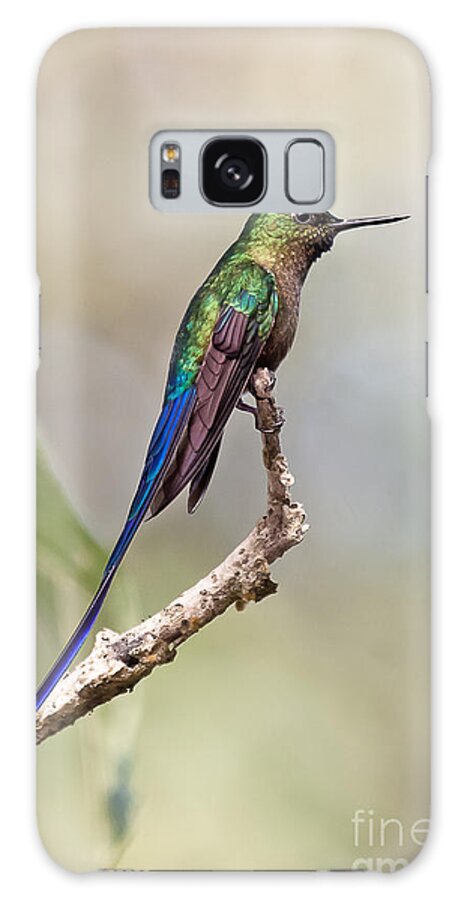 Animal Galaxy S8 Case featuring the photograph Violet-tailed Sylph #2 by Jean-Luc Baron