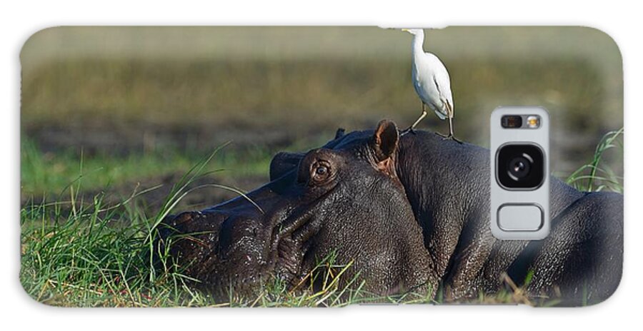 Botswana Galaxy Case featuring the photograph Wildlife Of Chobe Natiobal Park #2 by Winfried Wisniewski