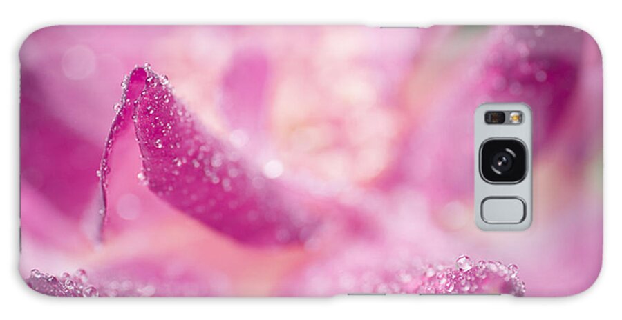 Flower Galaxy Case featuring the photograph Winter Rose #1 by Priya Ghose