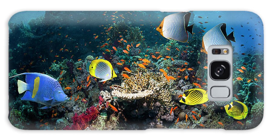 Tranquility Galaxy Case featuring the photograph Coral Reef Scenery #24 by Georgette Douwma
