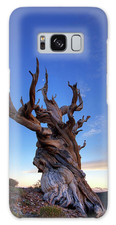 Ancient Galaxy Case featuring the photograph USA, California, White Mountains #24 by Jaynes Gallery
