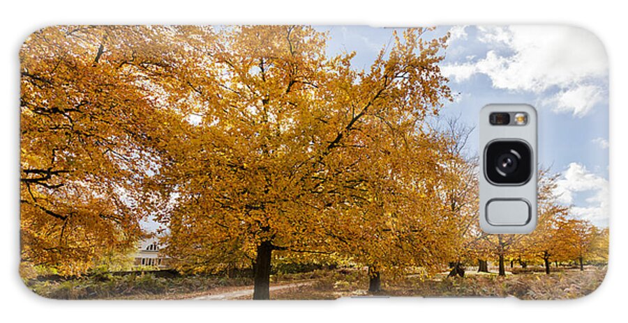 Richmond Park Galaxy Case featuring the photograph Autumn Leaves #3 by Maj Seda