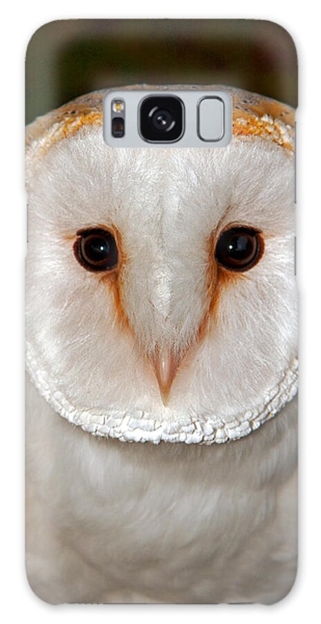 Barnowl Galaxy S8 Case featuring the photograph Barn Owl #3 by Paul Scoullar