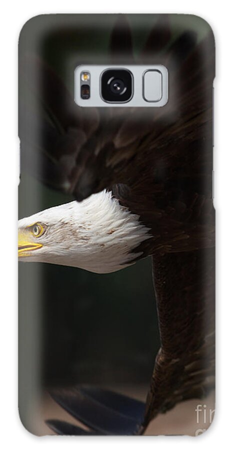 Closeup Galaxy Case featuring the photograph Close-up of an American Bald Eagle in flight #3 by Nick Biemans