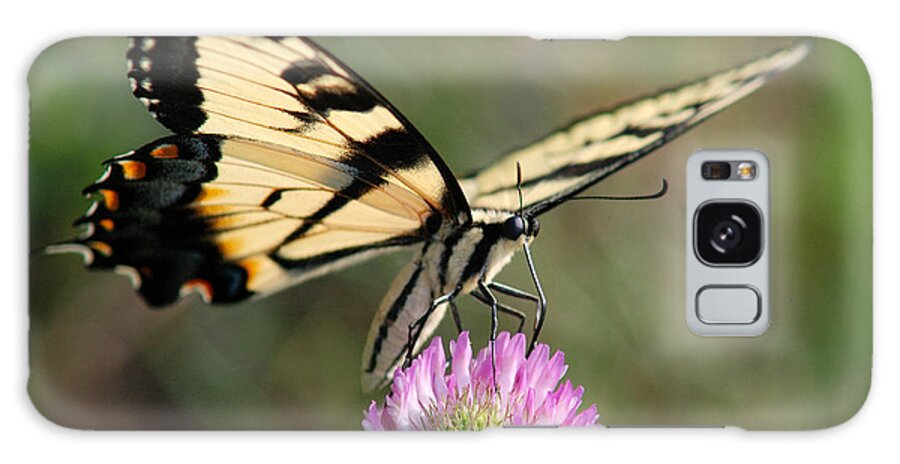 Butterflies Galaxy Case featuring the photograph Eastern Tiger Swallowtail #3 by Janice Adomeit