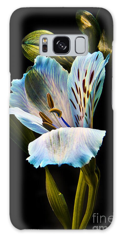 Flowers Galaxy Case featuring the photograph Flower #3 by Gunnar Orn Arnason