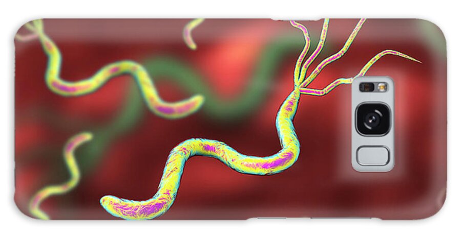 Artwork Galaxy Case featuring the photograph Helicobacter Pylori Bacteria #3 by Kateryna Kon/science Photo Library